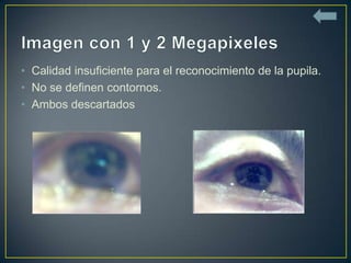 • Calidad insuficiente para el reconocimiento de la pupila.
• No se definen contornos.
• Ambos descartados
 