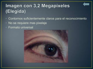 • Contornos suficientemente claros para el reconocimiento
• No se requiere mas pixelaje
• Formato universal
 