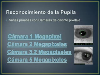 • Varias pruebas con Cámaras de distinto pixelaje
 