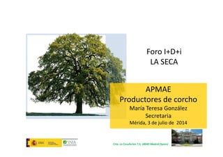 Foro I+D+i
LA SECA
Crta. La Coruña km 7,5, 28040 Madrid (Spain)
APMAE
Productores de corcho
María Teresa González
Secretaria
Mérida, 3 de julio de 2014
 