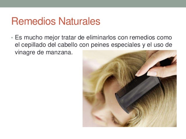 Como Saber Si Tengo Piojos Pubicos