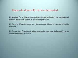 Etapas de desarrollo de la enfermedad
Invasión: Es la etapa en que los microorganismos que están en el
exterior de la ubre pasan al conducto glandular.

Infección: En esta etapa los gérmenes proliferan e invaden el tejido
mamario.
Inflamación: El daño al tejido mamario crea una inflamación y se
produce la mastitis clínica.

 