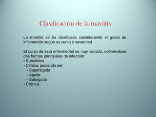 Clasificación de la mastitis
La mastitis se ha clasificado considerando el grado de
inflamación según su curso o severidad.
El curso de esta enfermedad es muy variado, definiéndose
dos formas principales de infección:
• Subclínica
• Clínica, pudiendo ser:
- Superaguda
- Aguda
- Subaguda
• Crónica

 