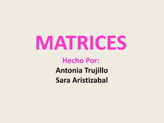 MATRICES
Hecho Por:
Antonia Trujillo
Sara Aristizabal
 