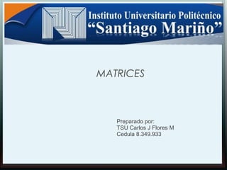 Preparado por:
TSU Carlos J Flores M
Cedula 8.349.933
MATRICES
 