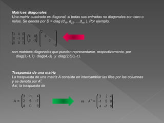 Presentacion matrices y determinantes | PPTX