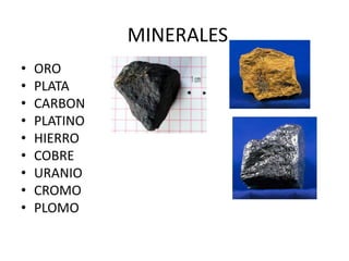 MINERALES
• ORO
• PLATA
• CARBON
• PLATINO
• HIERRO
• COBRE
• URANIO
• CROMO
• PLOMO
 