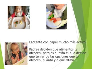 Lactante con papel mucho más activo
Padres deciden qué alimentos le
ofrecen, pero es el niño el que decide
qué tomar de las opciones que le
ofrecen, cuánto y a qué ritmo …
 