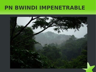   
PN BWINDI IMPENETRABLE
 