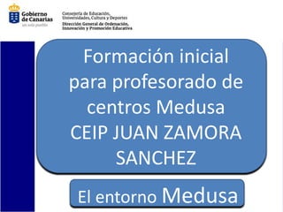 Formación inicial
para profesorado de
  centros Medusa
CEIP JUAN ZAMORA
     SANCHEZ
El entorno Medusa
 