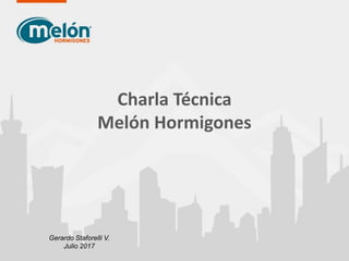 Charla Técnica
Melón Hormigones
Gerardo Staforelli V.
Julio 2017
 