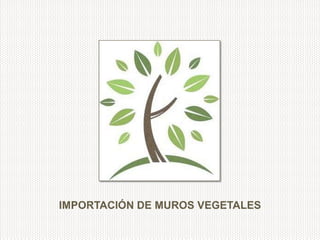 IMPORTACIÓN DE MUROS VEGETALES
 