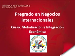 Pregrado en Negocios
     Internacionales
Curso: Globalización e Integración
           Económica
 