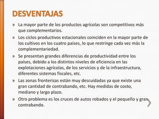 » La mayor parte de los productos agrícolas son competitivos más
  que complementarios.
» Los ciclos productivos estacionales coinciden en la mayor parte de
  los cultivos en los cuatro países, lo que restringe cada vez más la
  complementariedad.
» Se presentan grandes diferencias de productividad entre los
  países, debido a los distintos niveles de eficiencia en las
  explotaciones agrícolas, de los servicios y de la infraestructura,
  diferentes sistemas fiscales, etc.
» Las zonas fronterizas están muy descuidadas ya que existe una
  gran cantidad de contrabando, etc. Hay medidas de costo,
  mediano y largo plazo.
» Otro problema es los cruces de autos robados y el pequeño y gran
  contrabando.
 