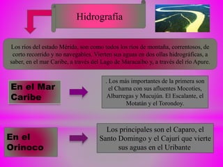 En el Mar
Caribe
. Los más importantes de la primera son
el Chama con sus afluentes Mocotíes,
Albarregas y Mucujún. El Escalante, el
Motatán y el Torondoy.
Los principales son el Caparo, el
Santo Domingo y el Cajurí que vierte
sus aguas en el Uribante.
En el
Orinoco
Hidrografía
Los ríos del estado Mérida, son como todos los ríos de montaña, correntosos, de
corto recorrido y no navegables. Vierten sus aguas en dos ollas hidrográficas, a
saber, en el mar Caribe, a través del Lago de Maracaibo y, a través del río Apure.
 