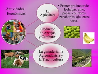 La
Agricultura
• Primer productor de
lechugas, apio,
papas, coliflores,
zanahorias, ajo, entre
otros.
Productor
de Arvejas
y Cambures
La ganadería, la
Agroindustria y
la Truchicultura
Actividades
Económicas
 