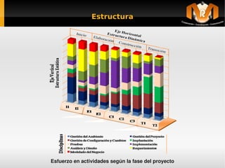 Estructura




                             
    Esfuerzo en actividades según la fase del proyecto
 