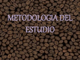 METODOLOGIA DEL
ESTUDIO
 