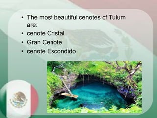 • The most beautiful cenotes of Tulum
are:
• cenote Cristal
• Gran Cenote
• cenote Escondido
 