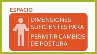 ESPACIO
DIMENSIONES
SUFICIENTES PARA
PERMITIR CAMBIOS
DE POSTURA
Docente: José Manuel López Molina 18
 