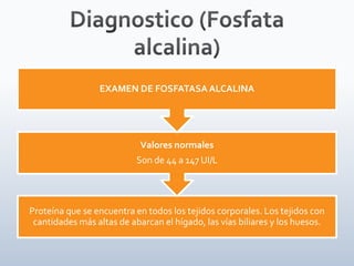 Proteína que se encuentra en todos los tejidos corporales. Los tejidos con
cantidades más altas de abarcan el hígado, las vías biliares y los huesos.
Valores normales
Son de 44 a 147 UI/L
EXAMEN DE FOSFATASA ALCALINA
 