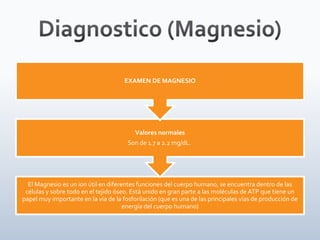 El Magnesio es un ion útil en diferentes funciones del cuerpo humano, se encuentra dentro de las
células y sobre todo en el tejido óseo. Está unido en gran parte a las moléculas de ATP que tiene un
papel muy importante en la vía de la fosforilación (que es una de las principales vías de producción de
energía del cuerpo humano)
Valores normales
Son de 1.7 a 2.2 mg/dL.
EXAMEN DE MAGNESIO
 
