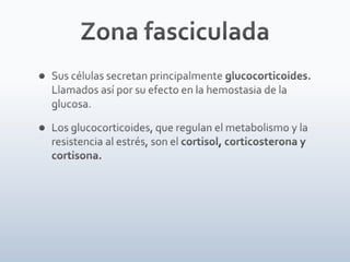 Tiroides, paratiroides, Glandulas suprarenales