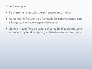 Tiroides, paratiroides, Glandulas suprarenales