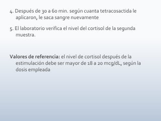 Tiroides, paratiroides, Glandulas suprarenales