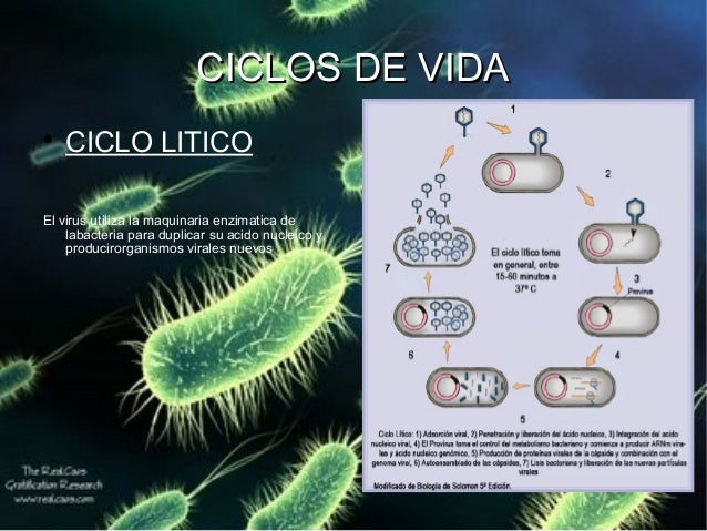 Presentacion