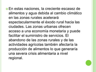  En estas naciones, la creciente escasez de
 alimentos y agua debida al cambio climático
 en las zonas rurales acelerará
 espectacularmente el éxodo rural hacia las
 ciudades. Las zonas urbanas ofrecen
 acceso a una economía monetaria y puede
 facilitar el suministro de servicios. El
 abandono de las zonas rurales y de las
 actividades agrícolas también afectaría la
 producción de alimentos lo que generaría
 una severa crisis alimentaria a nivel
 regional.
 