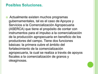     Actualmente existen muchos programas
    gubernamentales, tal es el caso de Apoyos y
    Servicios a la Comercialización Agropecuaria
    (ASERCA) que tiene el propósito de contar con
    instrumentos para el impulso a la comercialización
    de la producción agropecuaria en beneficio de los
    productores del campo. Tiene dos funciones
    básicas: la primera cubre el ámbito del
    fortalecimiento de la comercialización
    agropecuaria, la cual se realiza a través de apoyos
    fiscales a la comercialización de granos y
    oleaginosas.
 