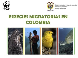 ESPECIES MIGRATORIAS EN
COLOMBIA
Ministerio de Ambiente y Desarrollo Sostenible
Dirección de Ecosistemas
República de Colombia
 