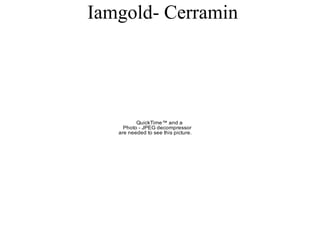 Iamgold- Cerramin 