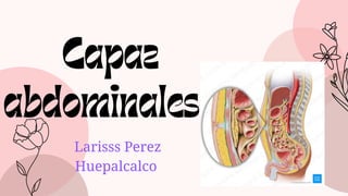 Capaz
abdominales
Larisss Perez
Huepalcalco
 