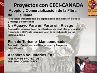Proyectos con CECI-CANADA
Acopio y Comercialización de la Fibra
de  la llama
Propósito: Transferencia de capacidades en selección de fibra
y manejo de camélidos
Un Aguayo Para un Parto sin Riesgo
Propósito: Incremento en la cobertura de controles prenatales
Resultado : 500 % de incremento en la covertura de partos
institucionales

Plan de Turismo Mancomunado
Proposito: Contar con un Plan turismo y Proyectos
identificados

Asesores Voluntarios En :
GESTION DE PROYECTOS
TURISMO COMUNITARIO
 