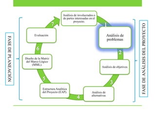 FASE DE PLANEACIÓN

Análisis de
problemas

Evaluación

Diseño de la Matriz
del Marco Lógico
(MML).

Estructura Analítica
del Proyecto (EAP).

Análisis de objetivos

Análisis de
alternativas

FASE DE ANÁLISIS DEL PROYECTO

Análisis de involucrados o
de partes interesadas en el
proyecto.

 