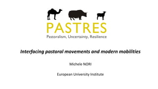 Interfacing pastoral movements and modern mobilities
Michele NORI
European University Institute
 