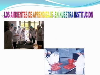 Presentacion modalidad 2011 | PDF | Food Industry | Industries