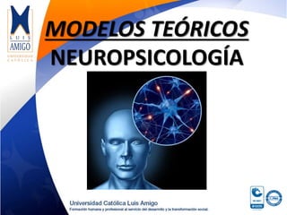 MODELOS TEÓRICOS
NEUROPSICOLOGÍA
 