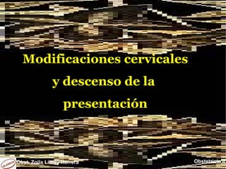 Modificaciones cervicales
              y descenso de la
                  presentación



Obst. Zoila Limay Herrera        Obstetricia II
 