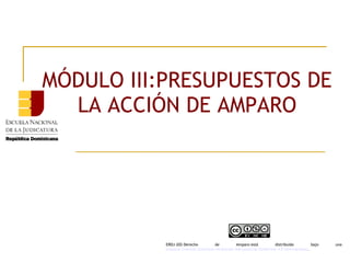 MÓDULO III:PRESUPUESTOS DE
LA ACCIÓN DE AMPARO
ERDJ-202-Derecho de Amparo está distribuido bajo una 
Licencia Creative Commons Atribución-NoComercial-SinDerivar 4.0 Internacional.
 