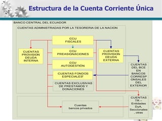 Estructura de la Cuenta Corriente Única 