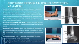 PRESENTACION MODULO TECNICAS RADIOGRAFICAS MIEMBROS INFERIORES.pptx