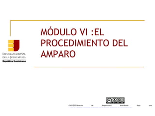 MÓDULO VI :EL
PROCEDIMIENTO DEL
AMPARO
ERDJ-202-Derecho de Amparo está distribuido bajo una 
Licencia Creative Commons Atribución-NoComercial-SinDerivar 4.0 Internacional.
 