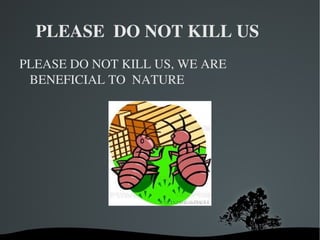 PLEASE  DO NOT KILL US ,[object Object]