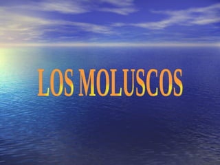 LOS MOLUSCOS 