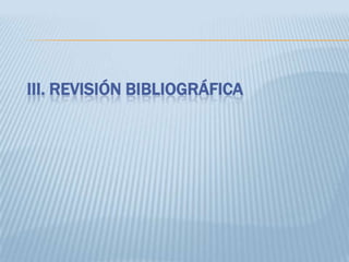 III. REVISIÓN BIBLIOGRÁFICA
 