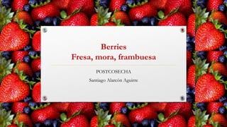 Berries
Fresa, mora, frambuesa
       POSTCOSECHA
    Santiago Alarcón Aguirre
 