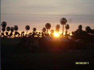 Campo Morato Te espera